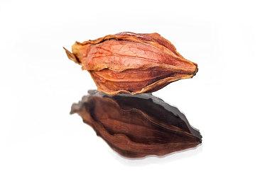 明星养成互动影游《星梦轨迹》Steam页面 发售日待定